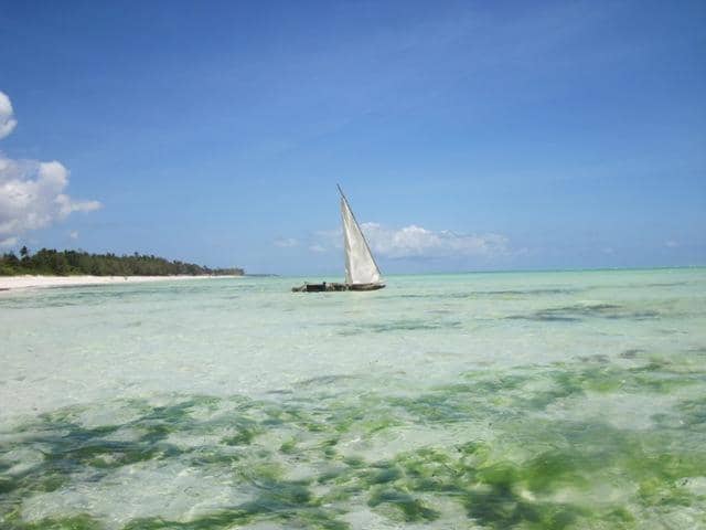 The Tidal Phenomenon