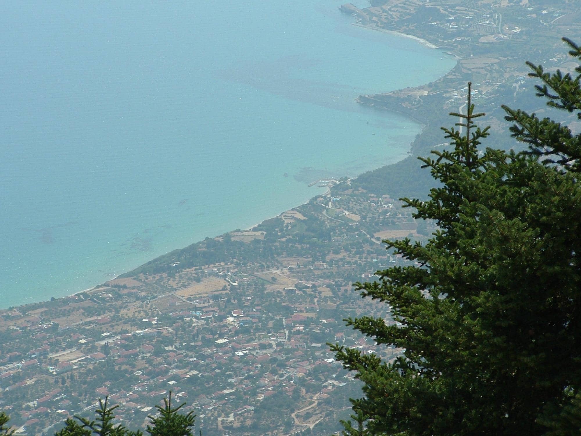 Wild Horses of Ainos