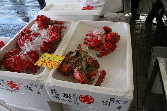 Wholesale Fish Auction