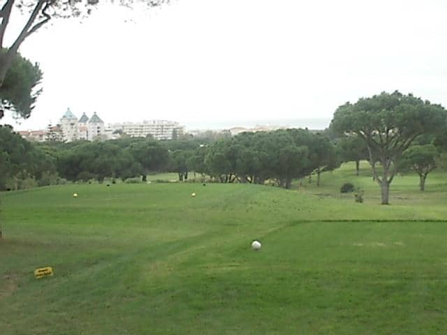 Modern Buggy Technology