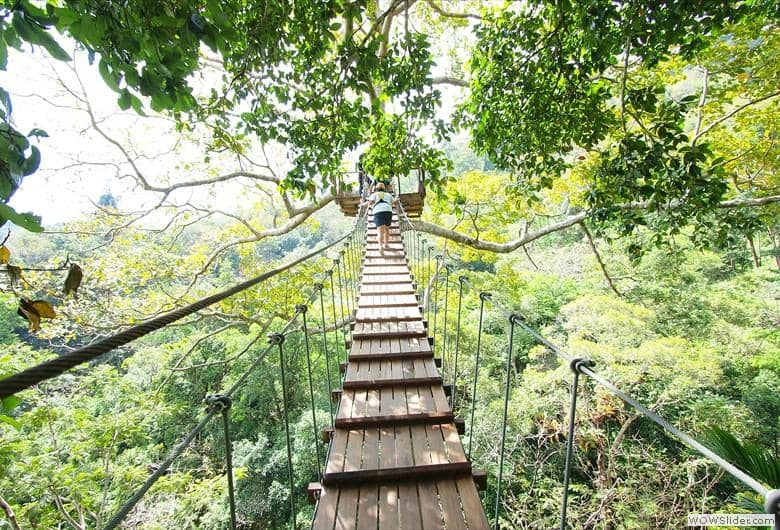 Jungle Zipline Courses