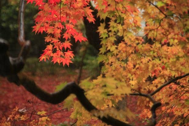 Panoramic City Views