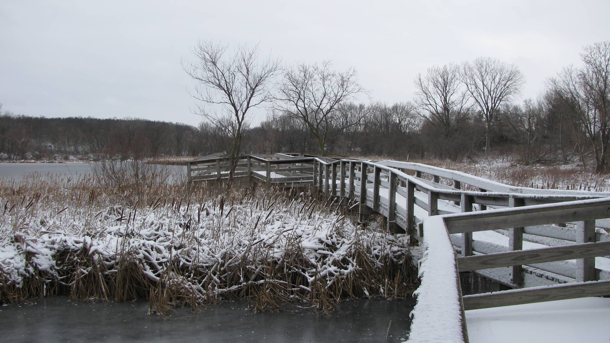 Extensive Trail System