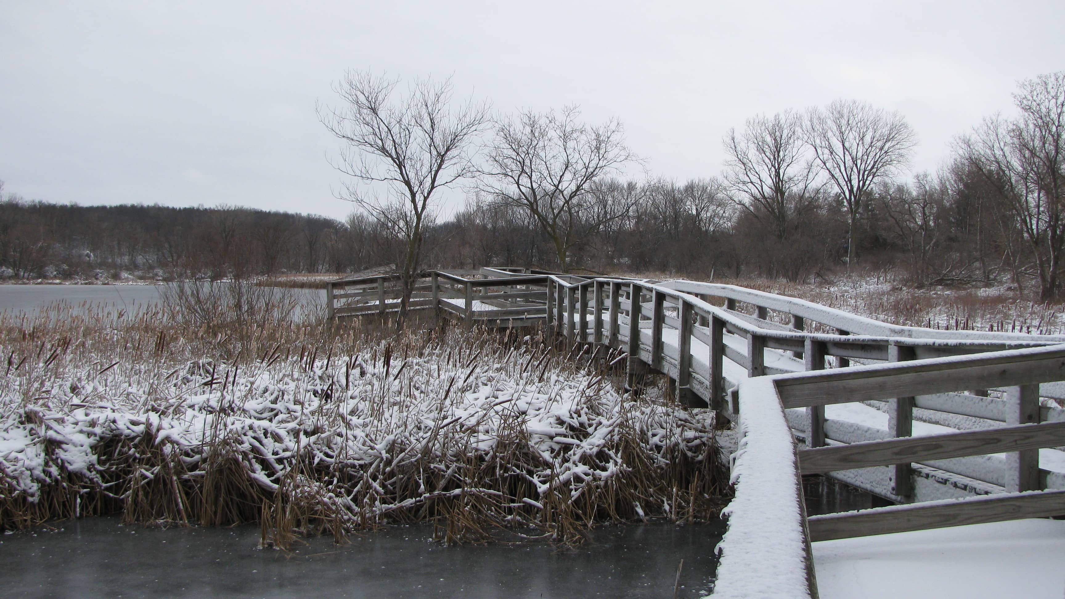 Extensive Trail System