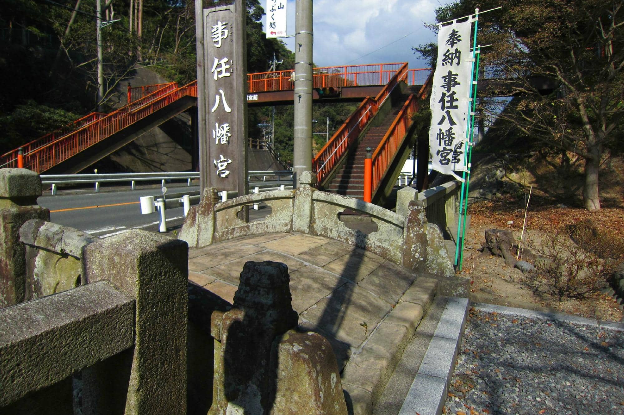 Majestic Camphor Tree