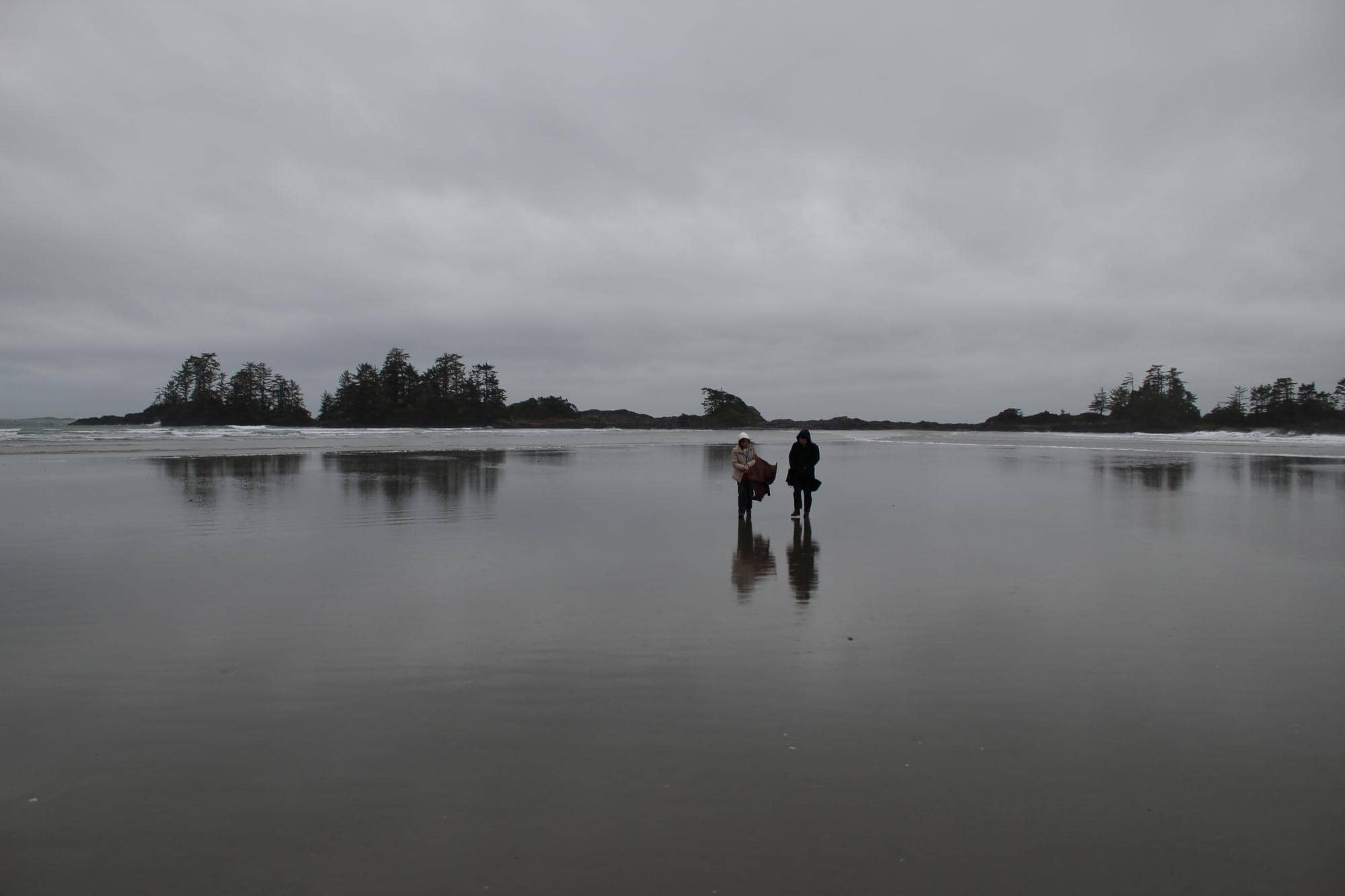 Tide Pool Exploration