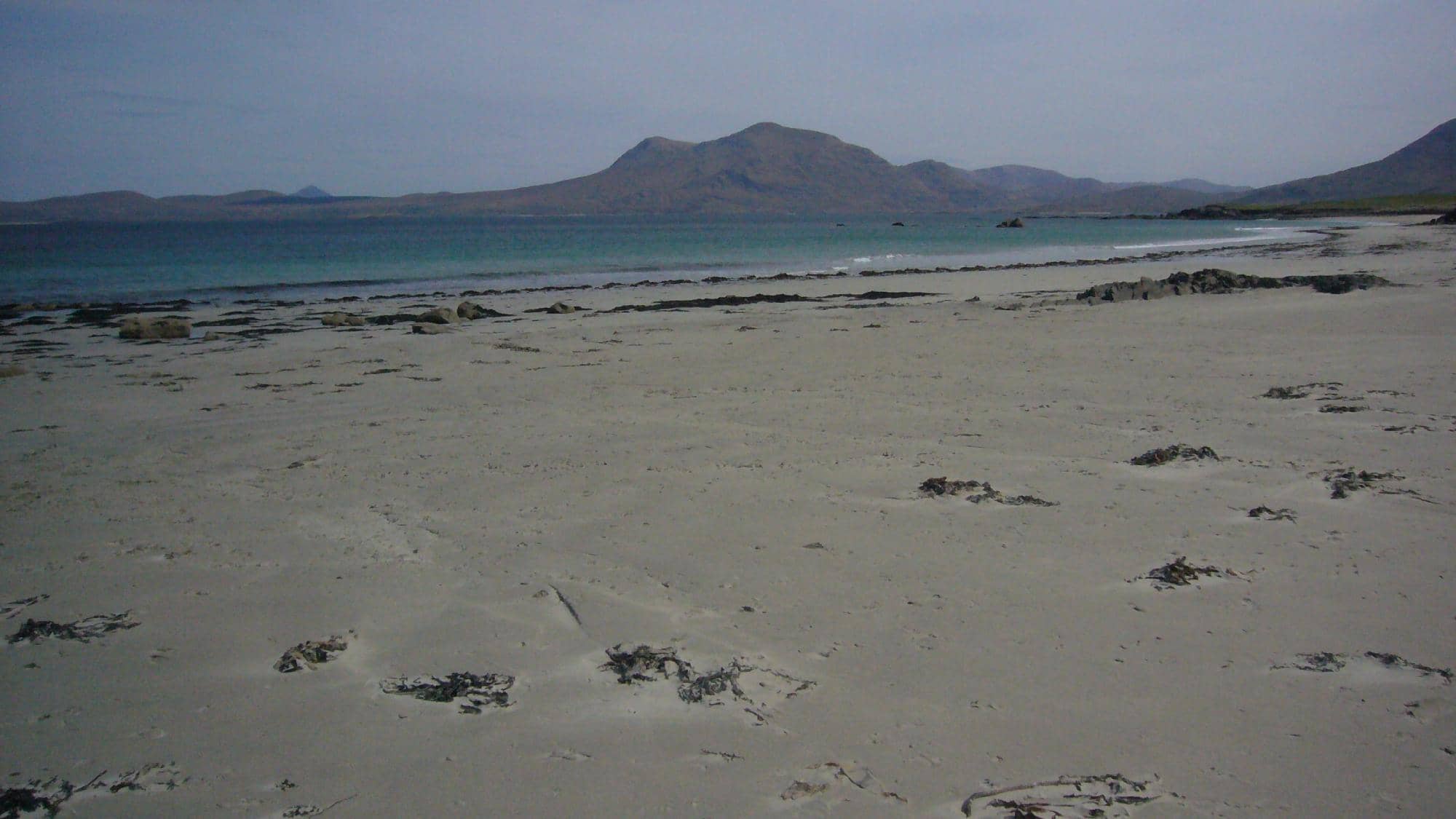 Rock Pools and Marine Life