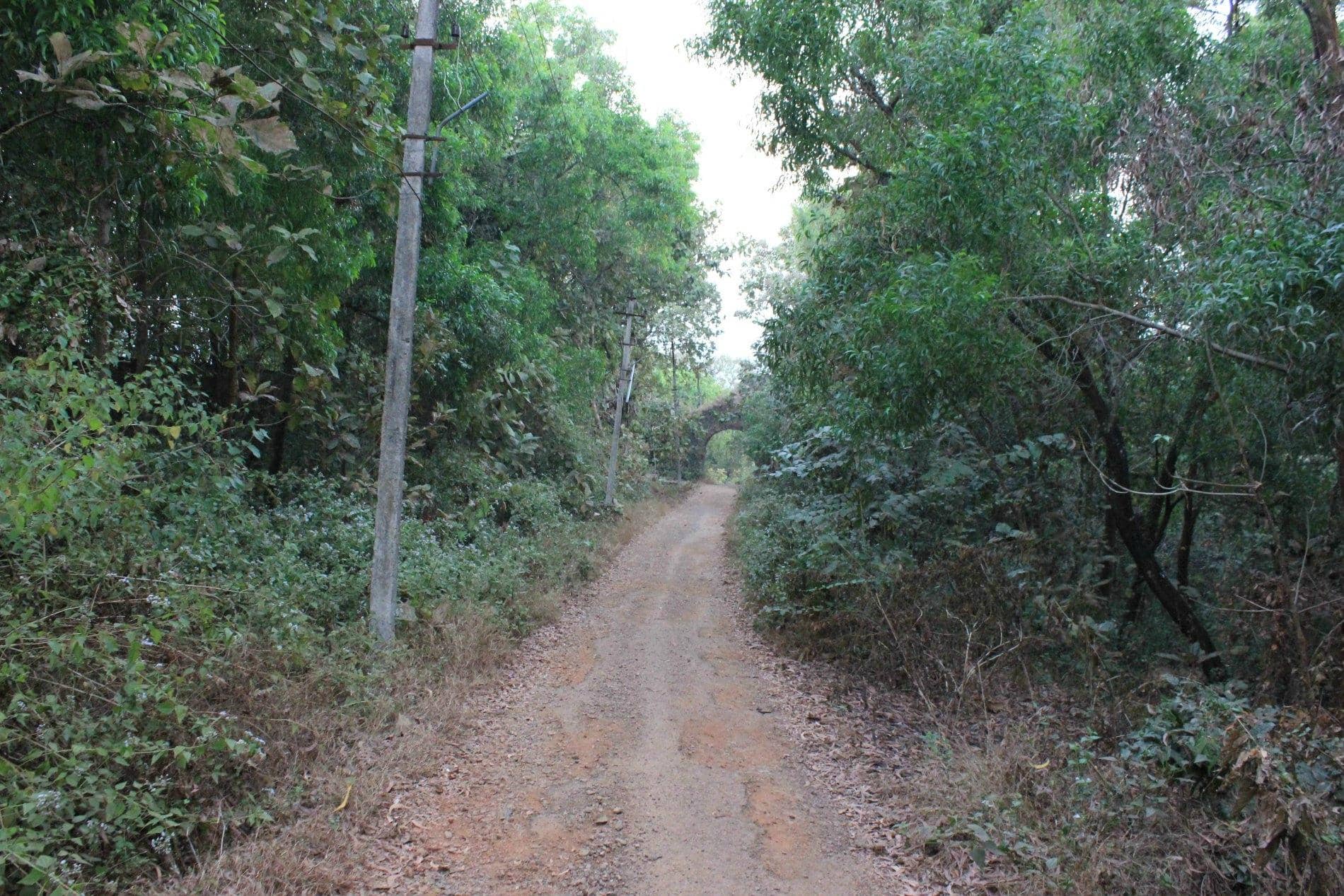 Sadashivgad Fish Market