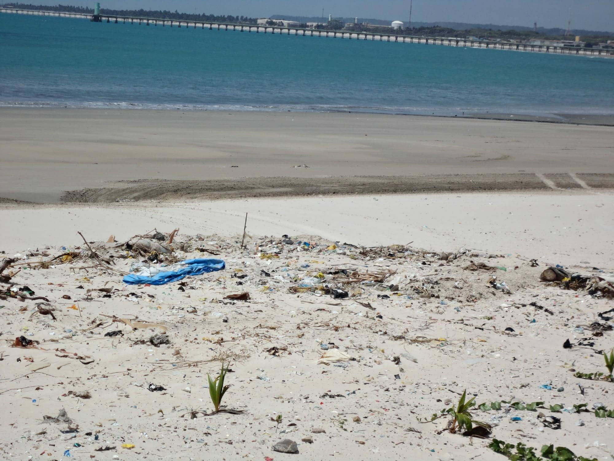 Vibrant Coastal Promenade