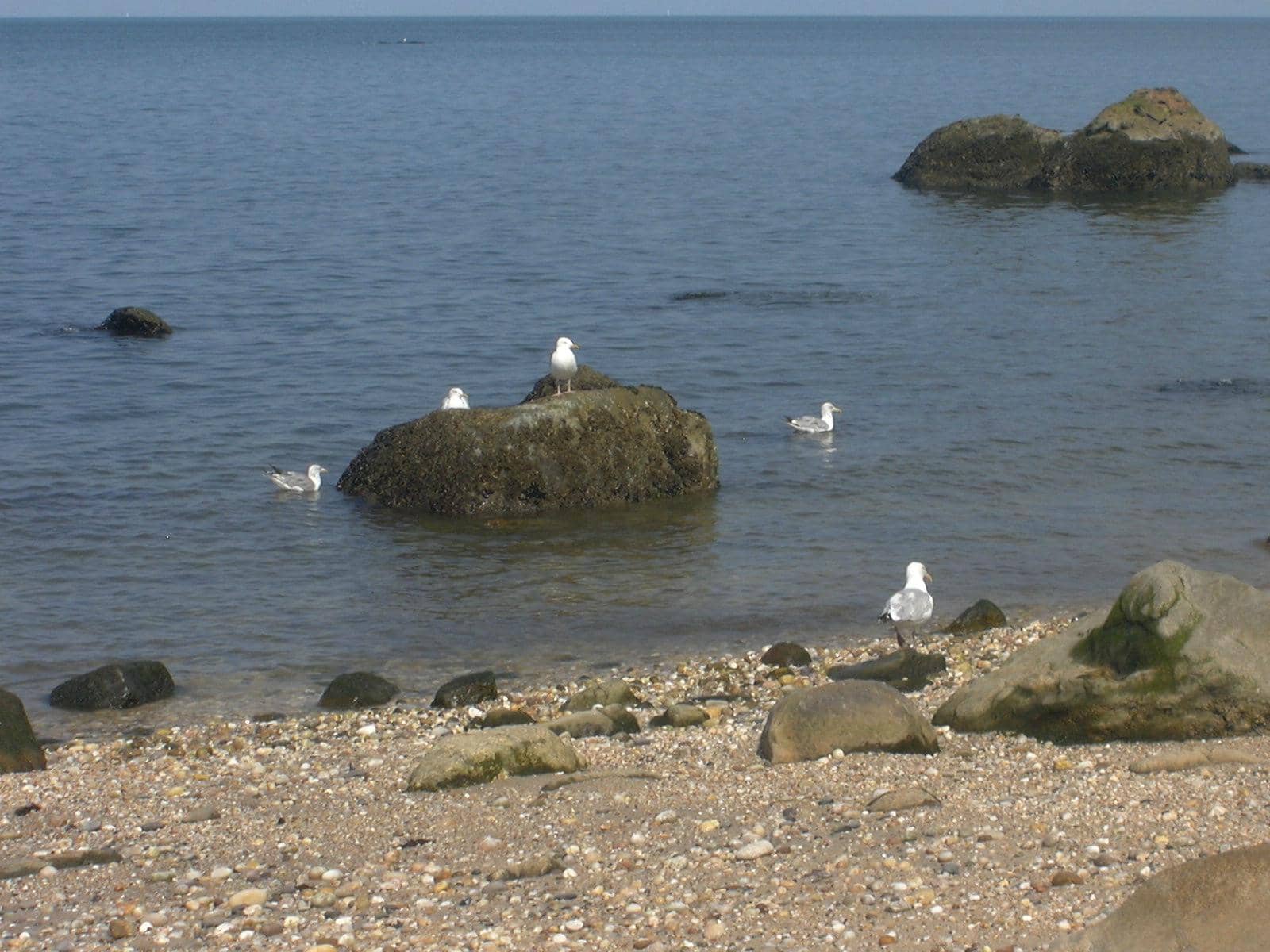 Well-Maintained Playground