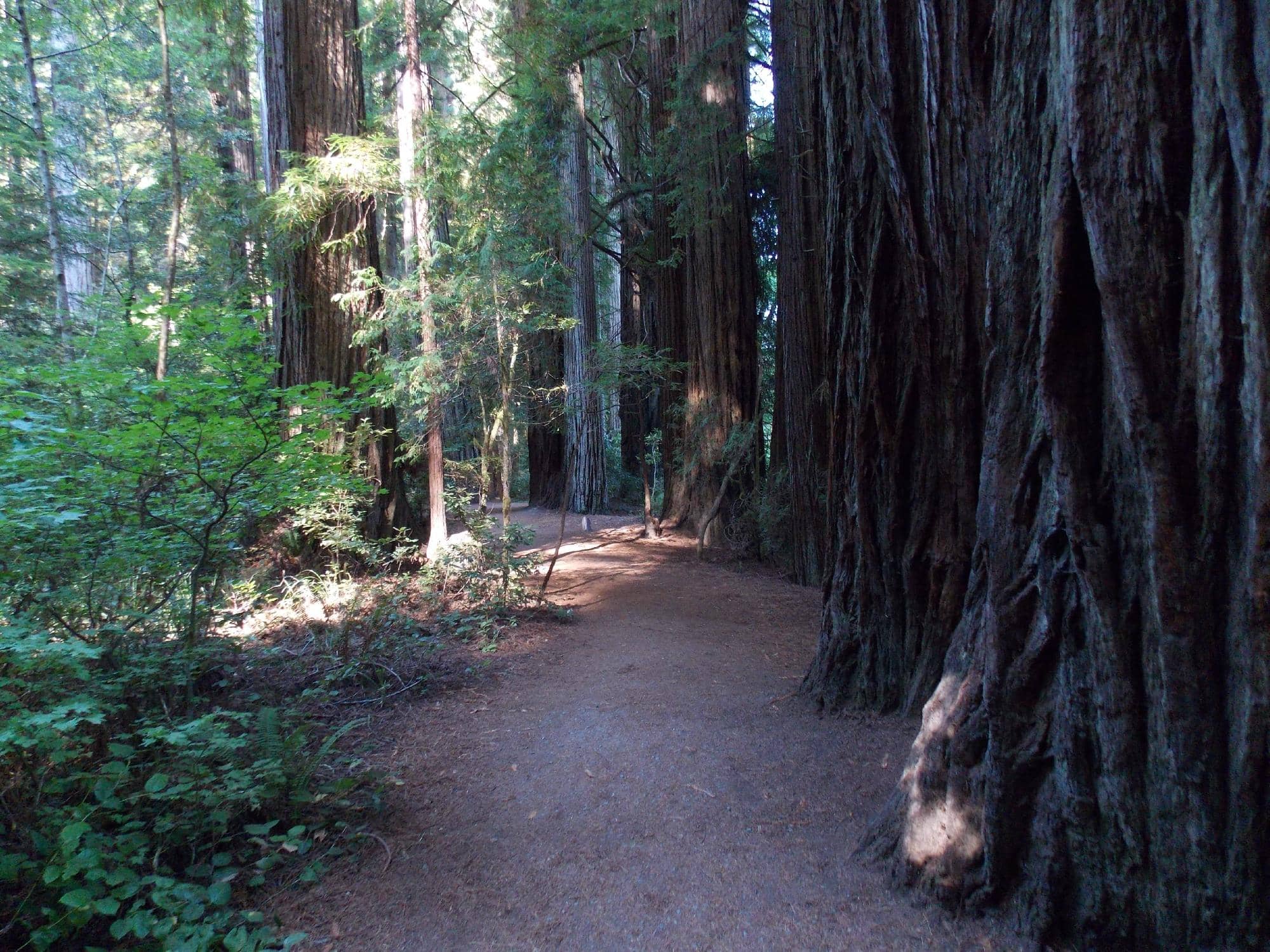 Smith River Serenity
