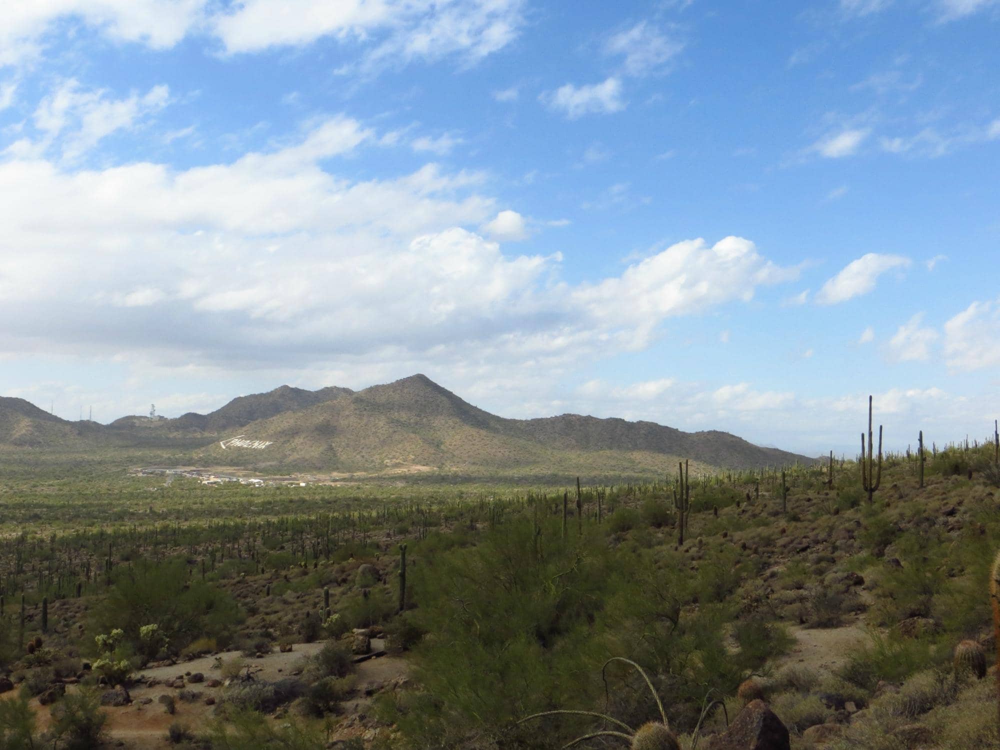 Wild Horse Sightings