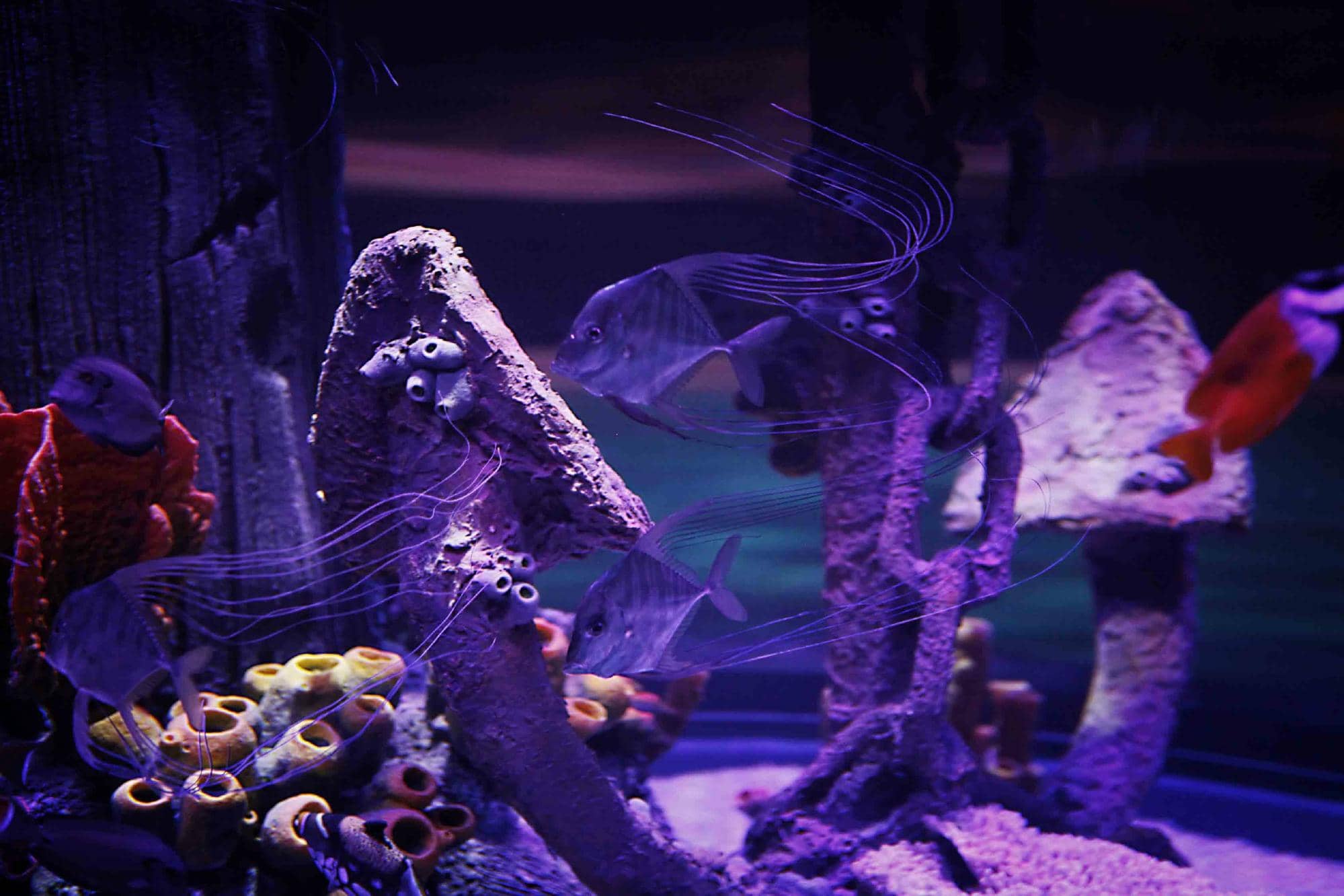 Interactive Touchpool