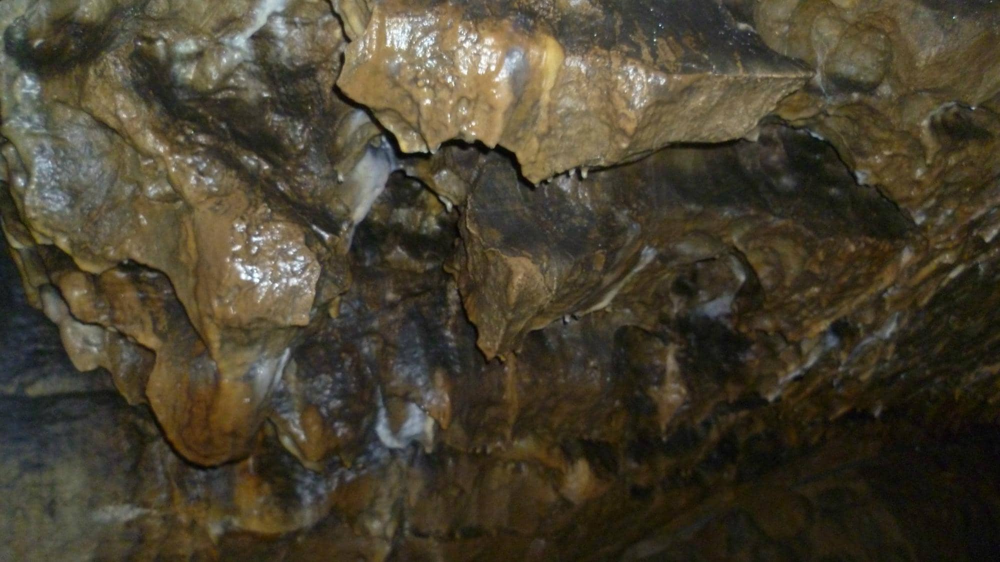 Underground Pathways