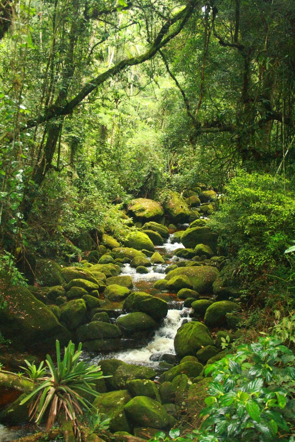 Travessia Petrópolis x Teresópolis