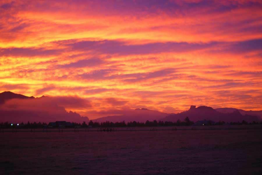 Scenic Vineyard Views