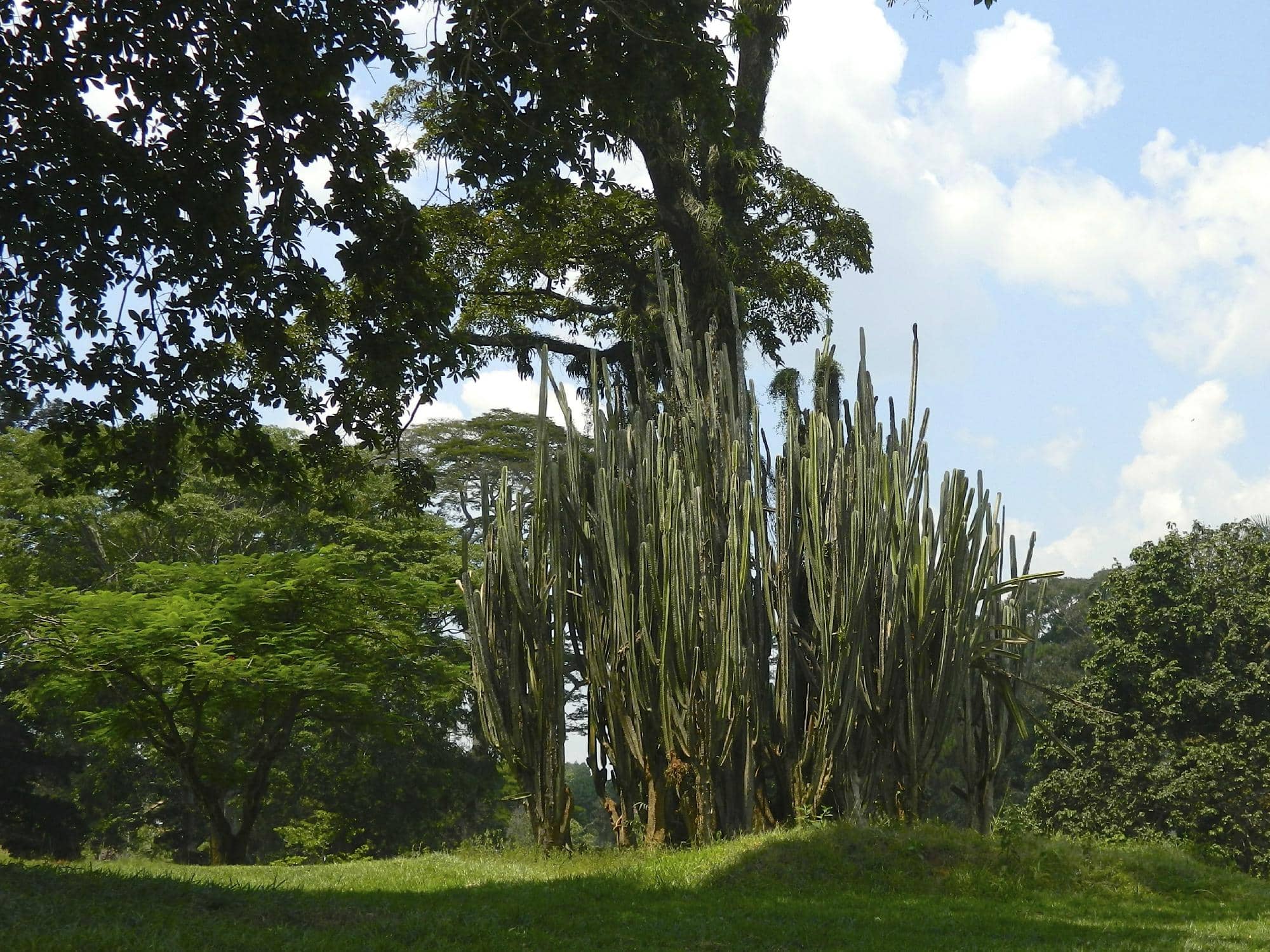 Lake Victoria Beaches