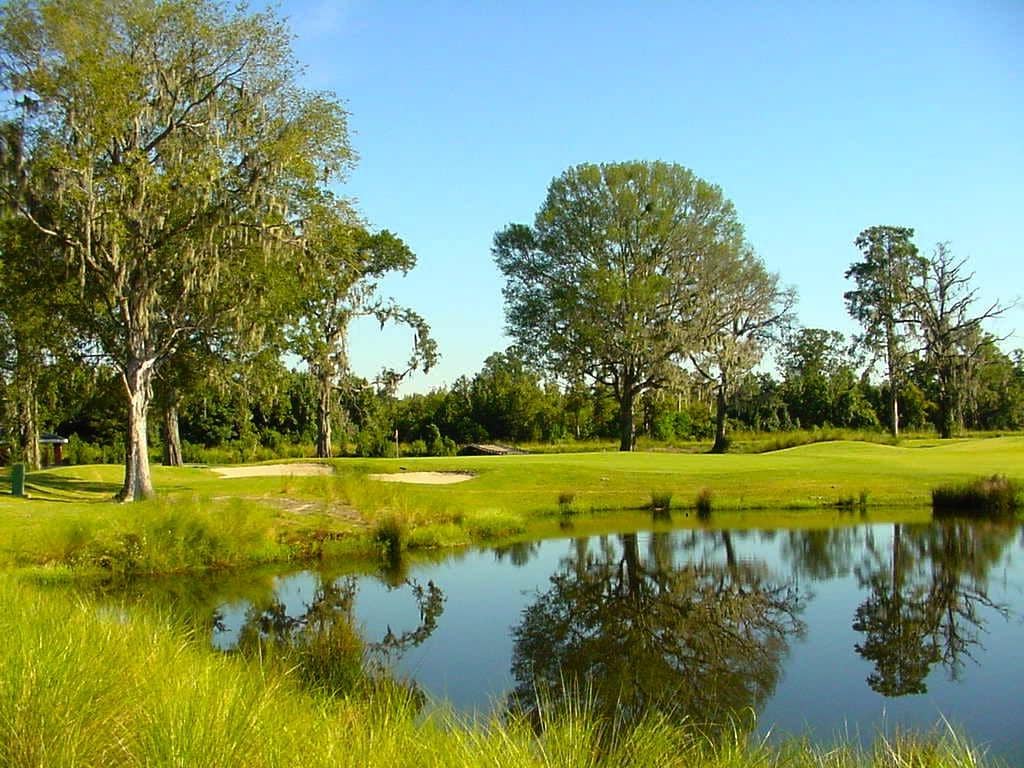 Par 3 Golf Course Fun