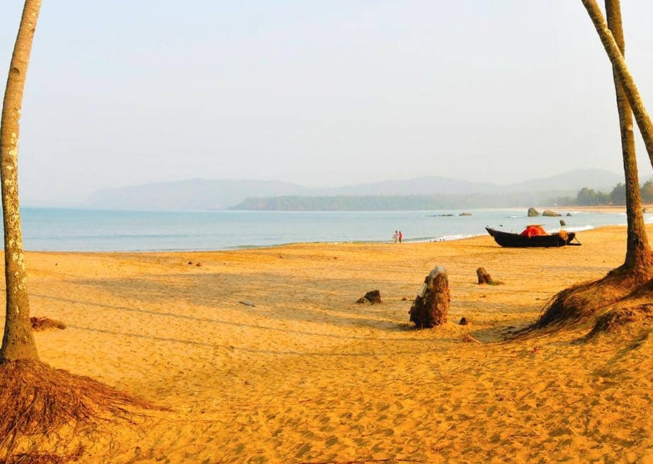 Monsoon's Lush Embrace