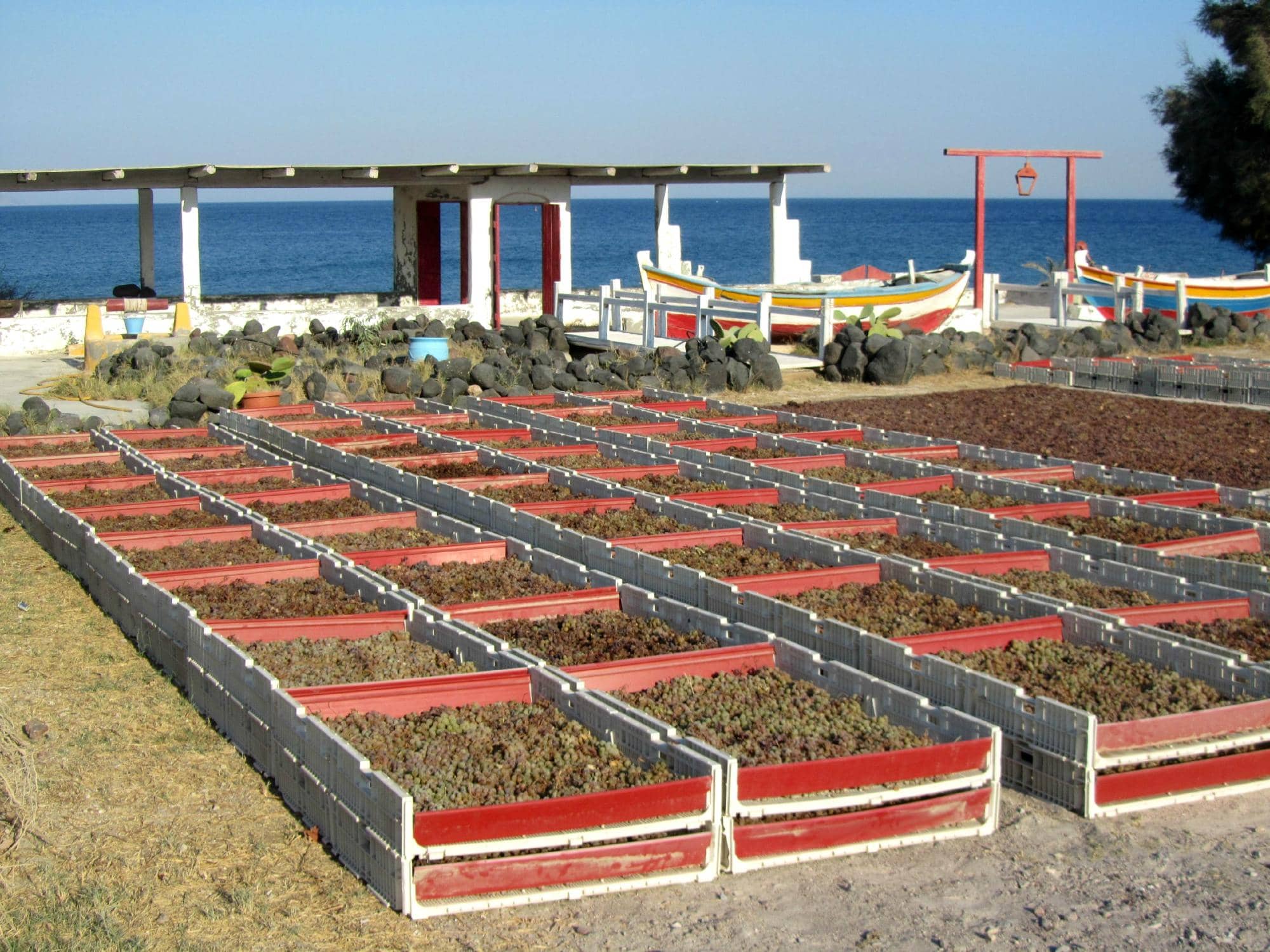 Artisanal Cheese Pairings