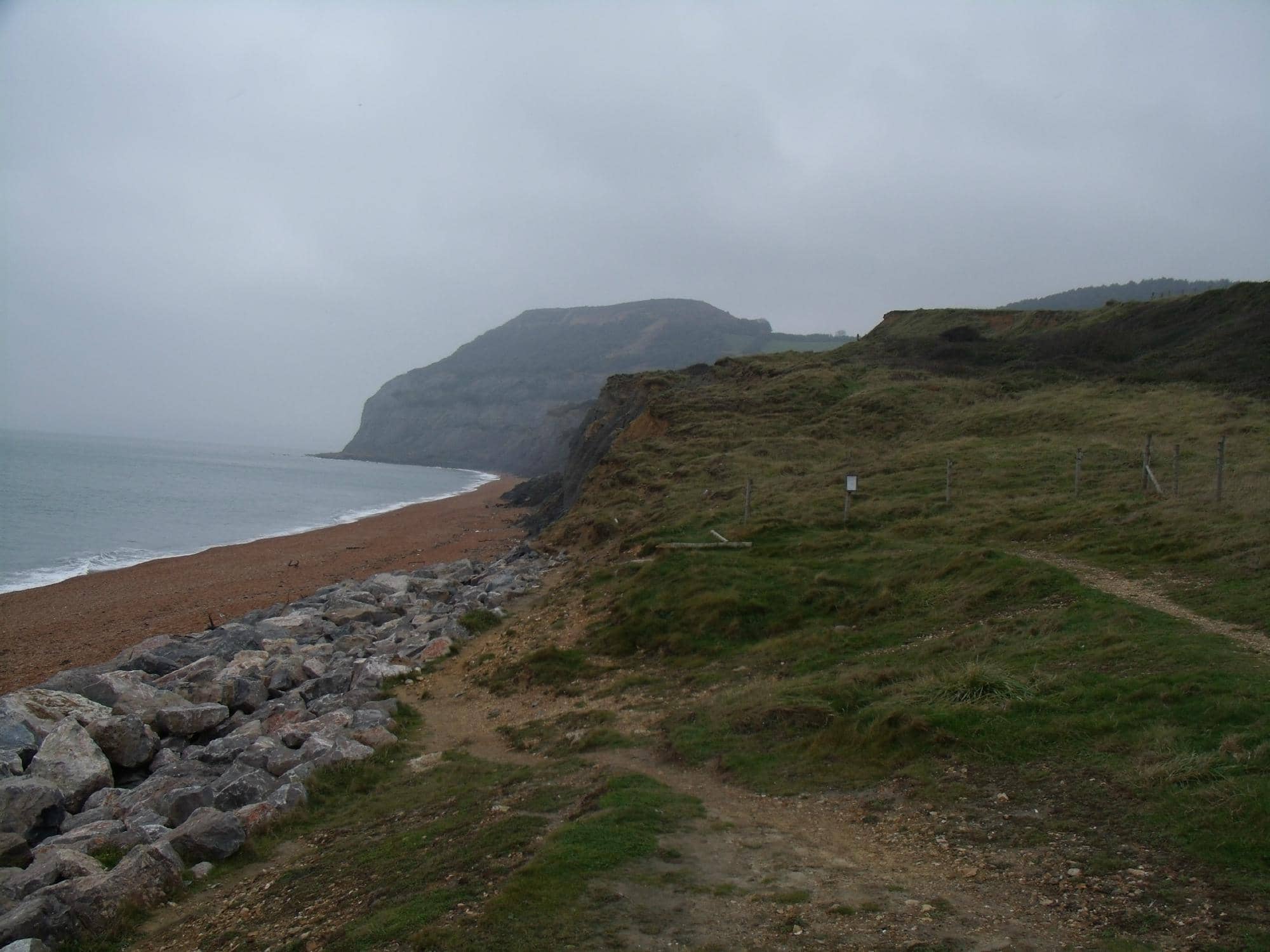 Ichthyosaur Skeleton