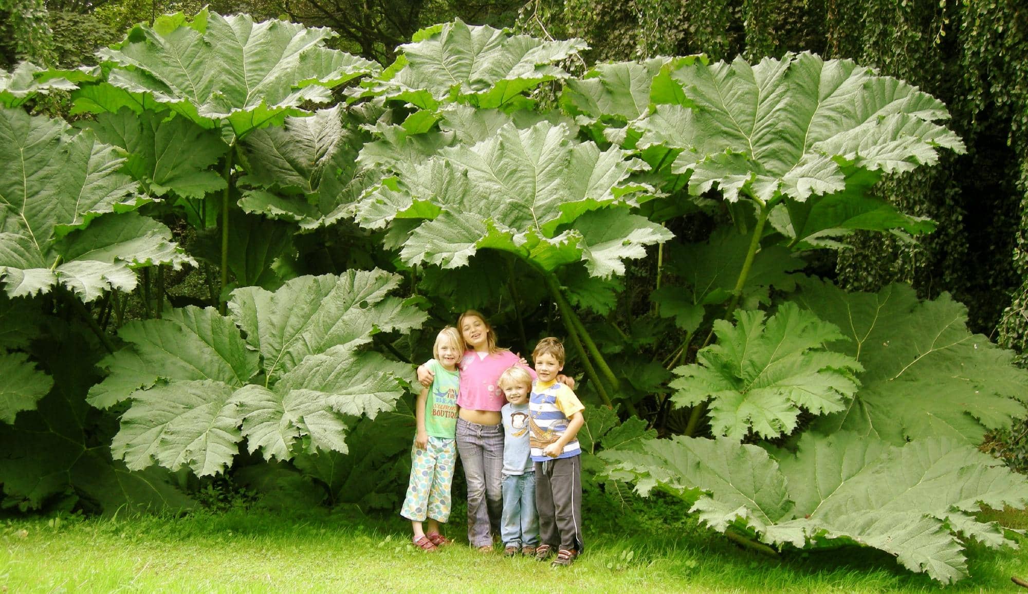 Ancient Chapel and Effigies