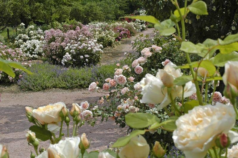 Quality Garden Supplies