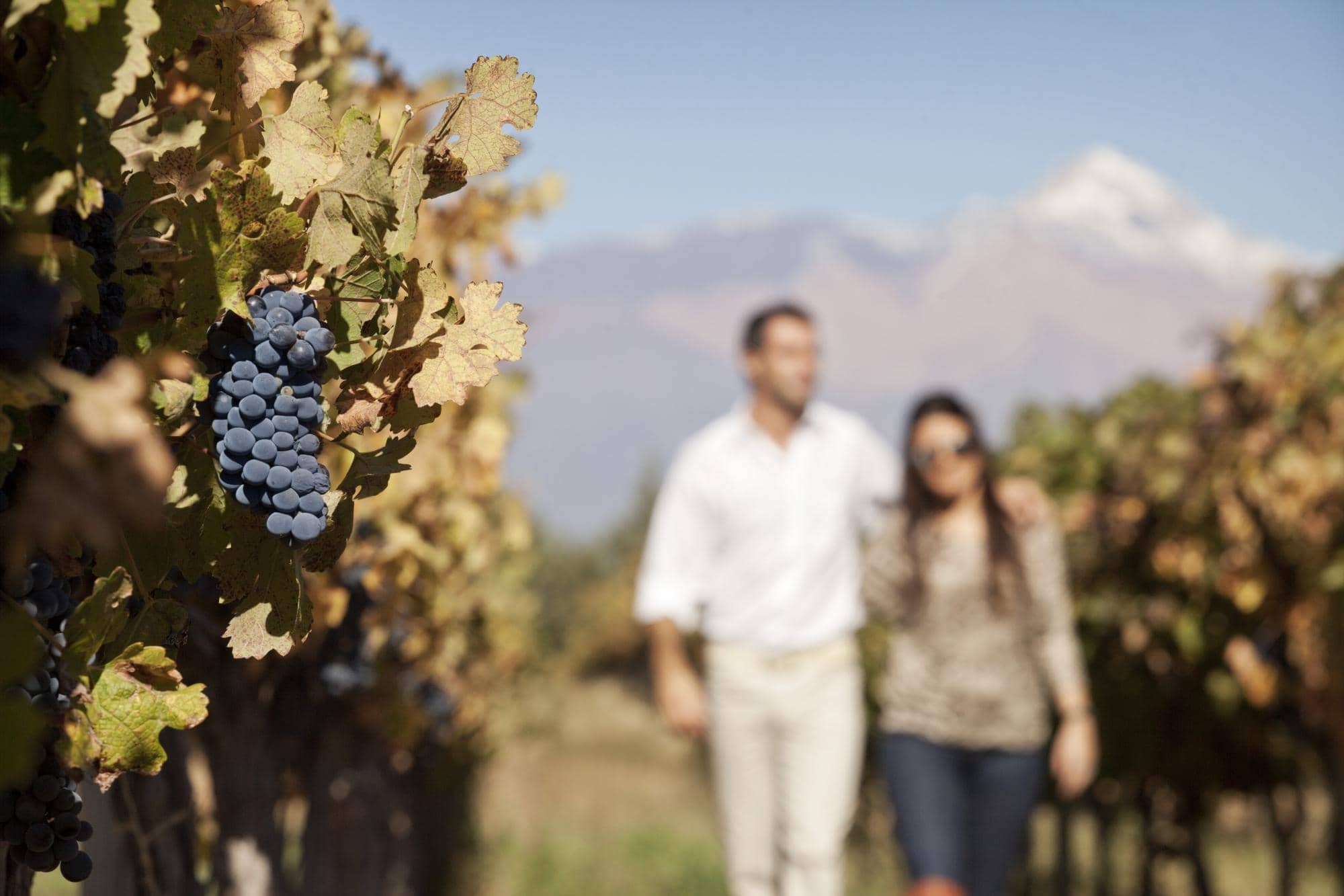 Tardecitas Sunset Experience