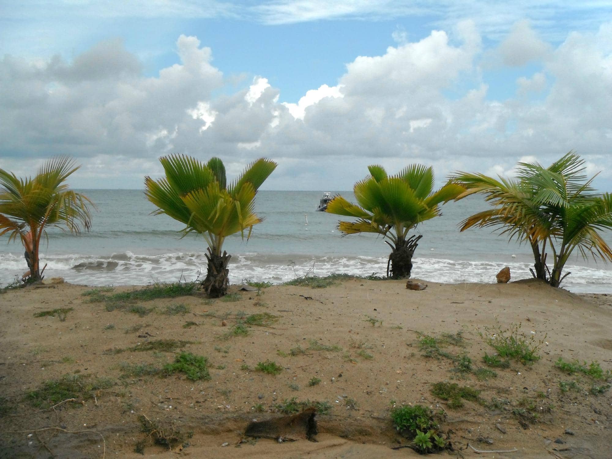 Pristine Sands and Clear Waters