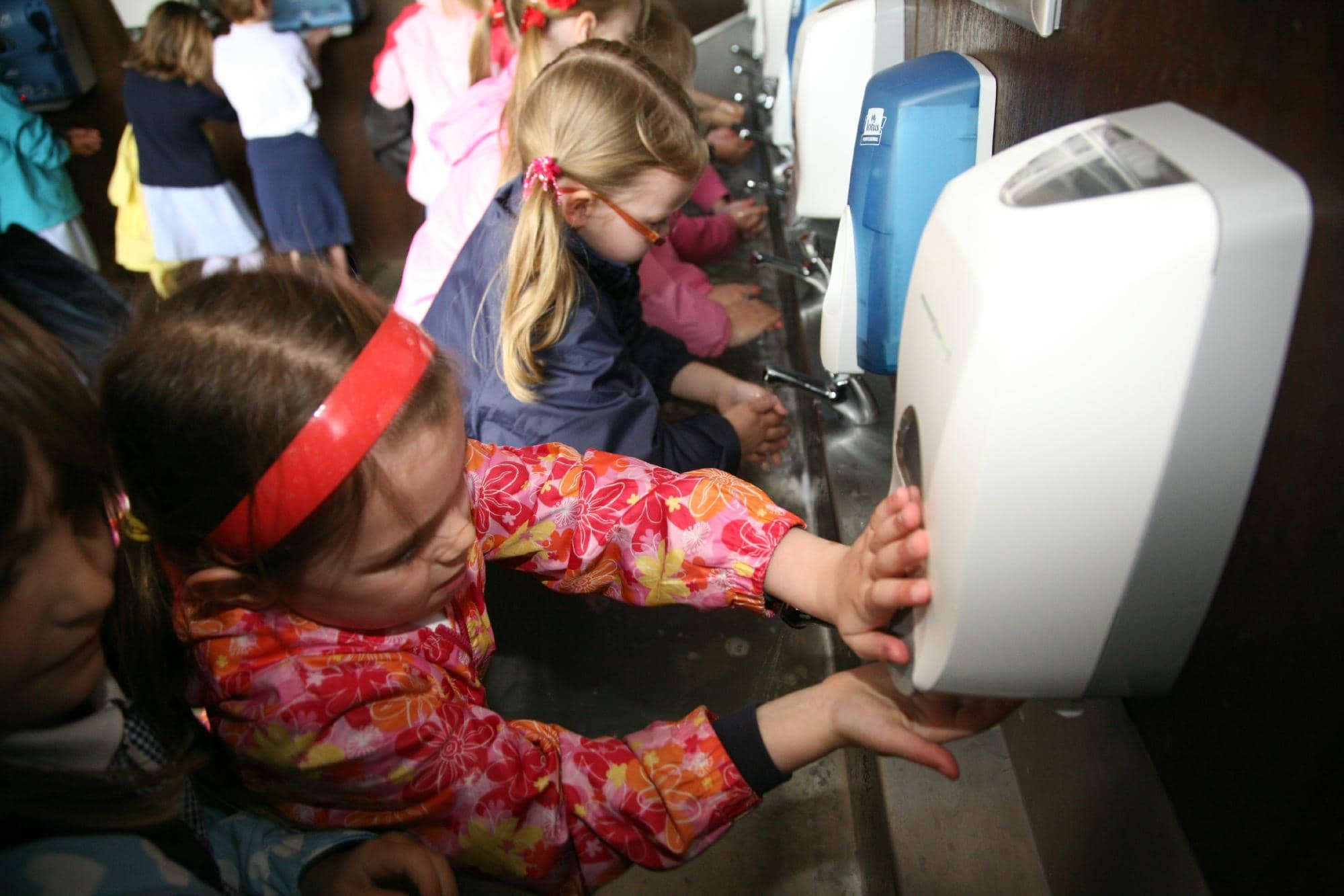 Sheep & Ferret Racing