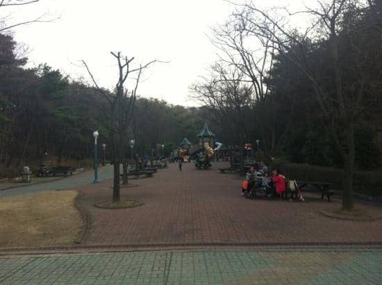 Scenic Walking Trails