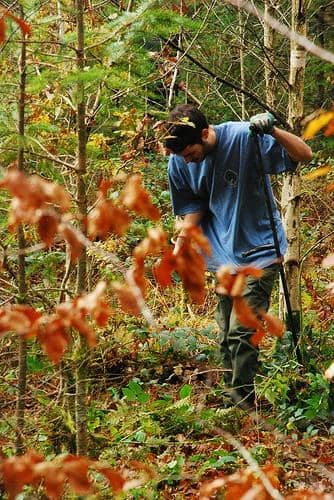 Eco-Building Demonstrations