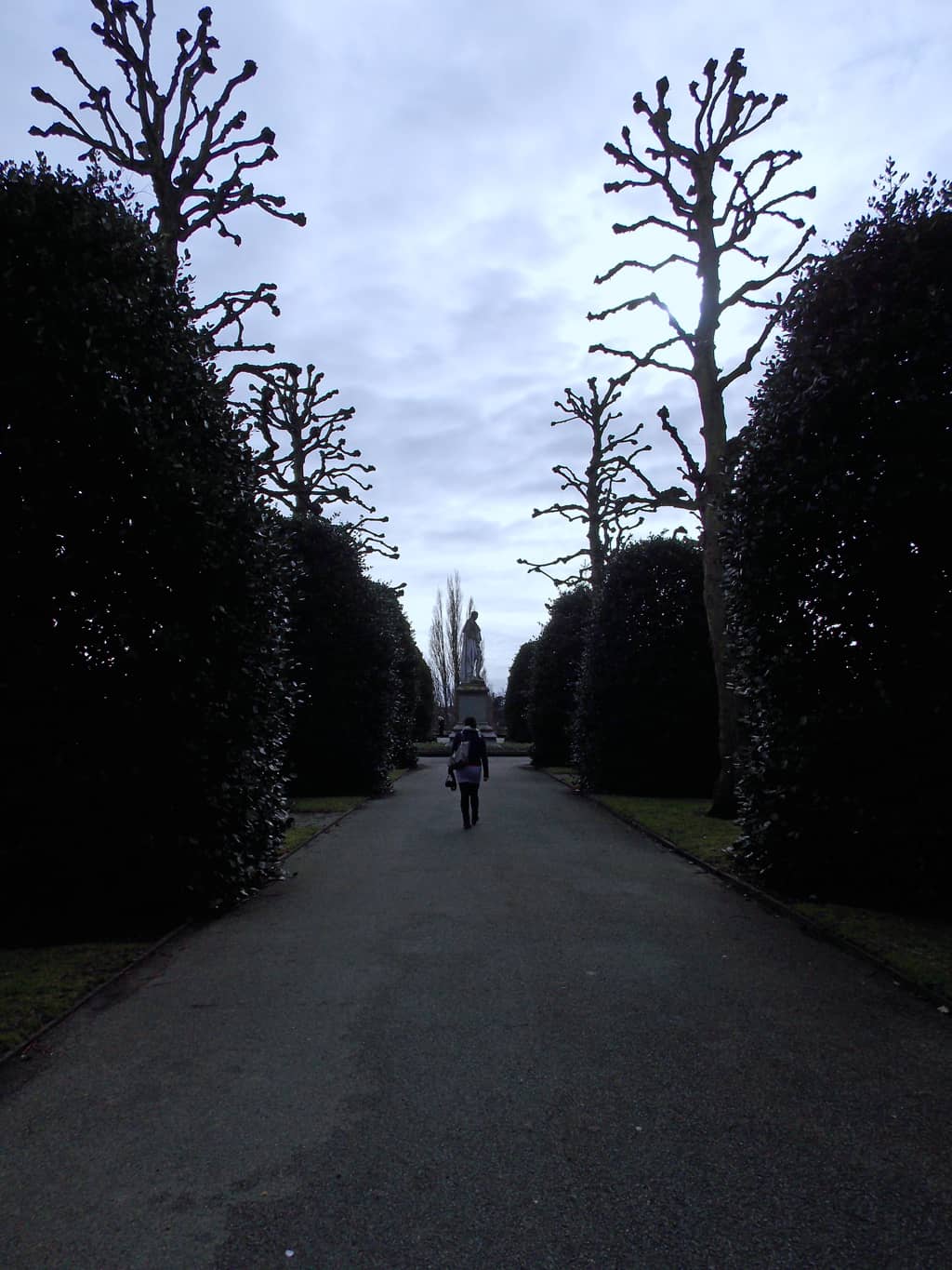 Vertical photo