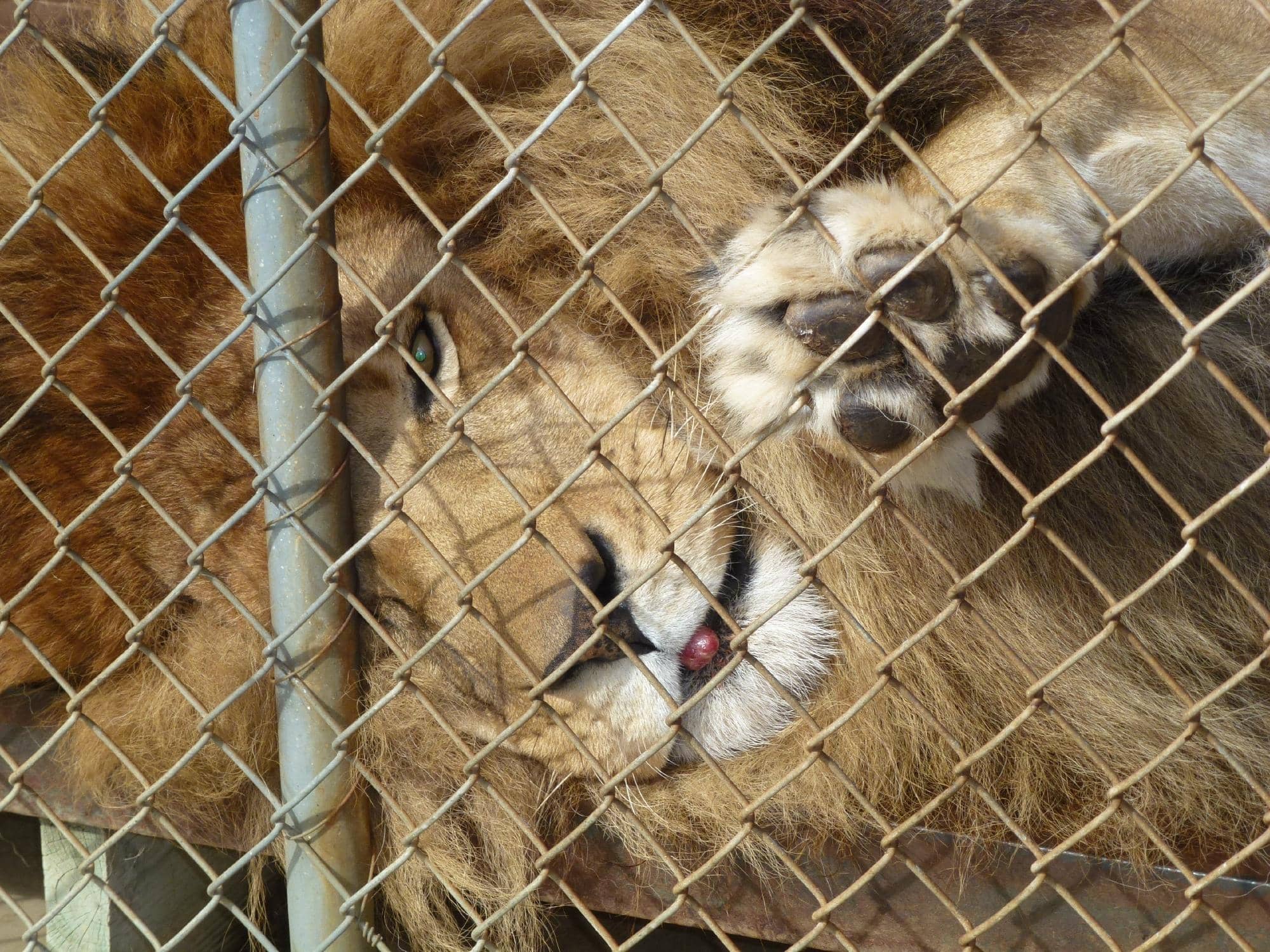 Calm and Relaxed Atmosphere