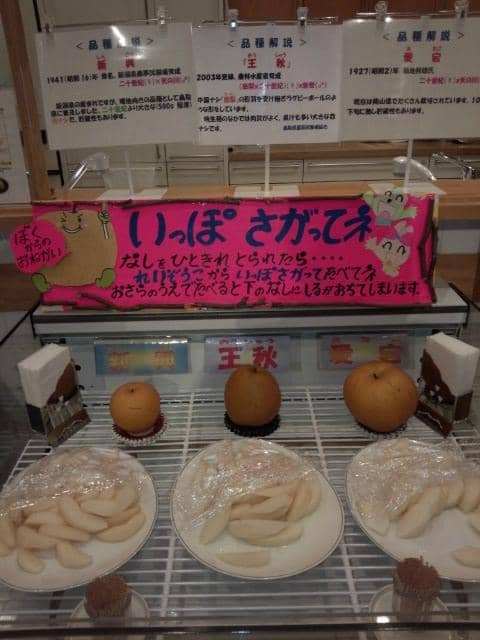 Interactive Exhibits