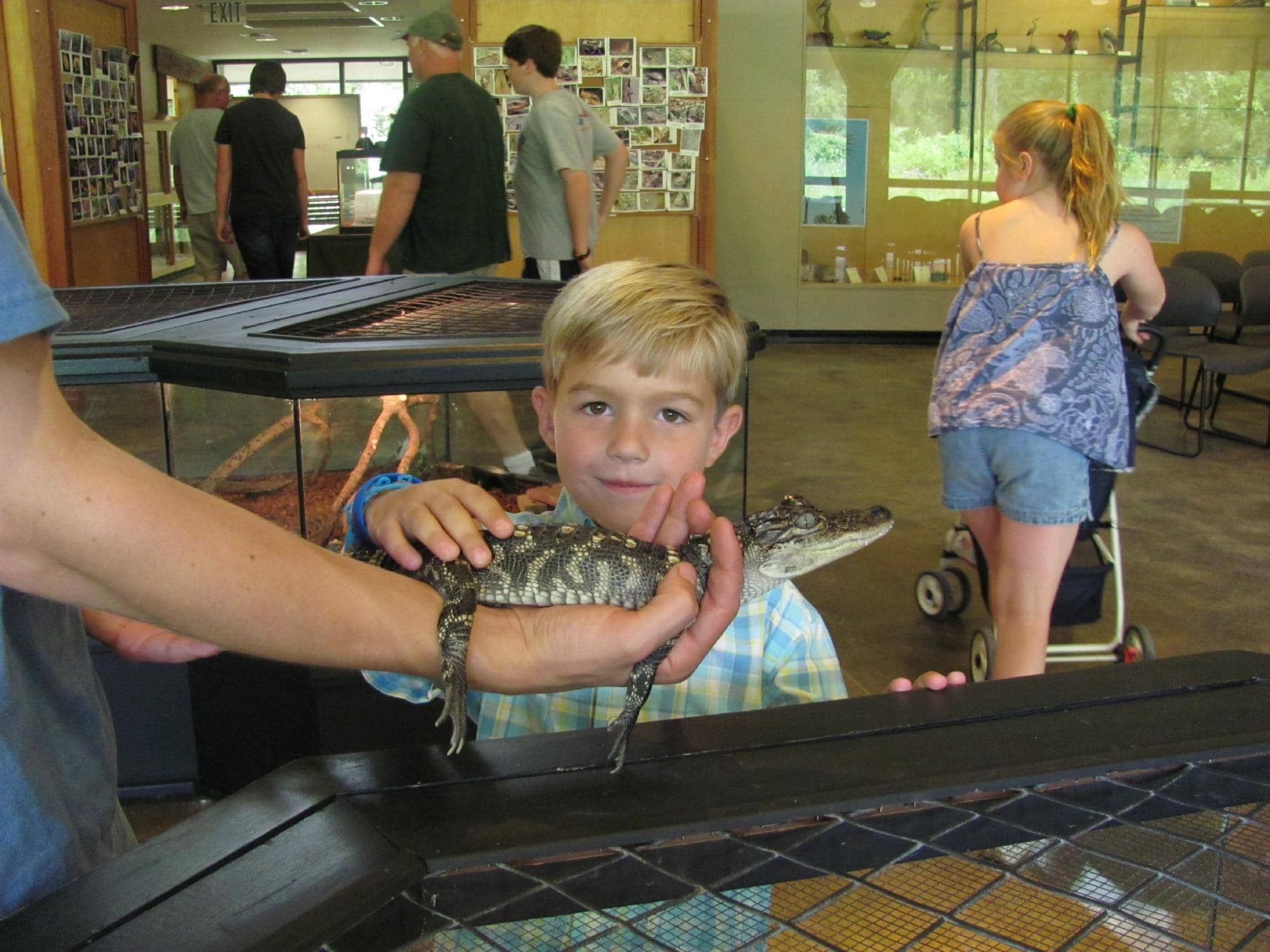 Live Animal Exhibits