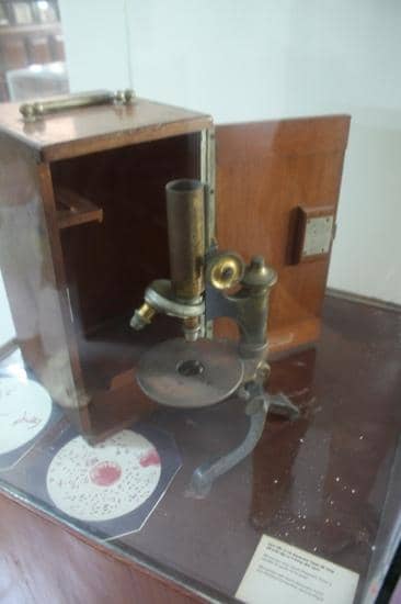 Yersin's Microscope