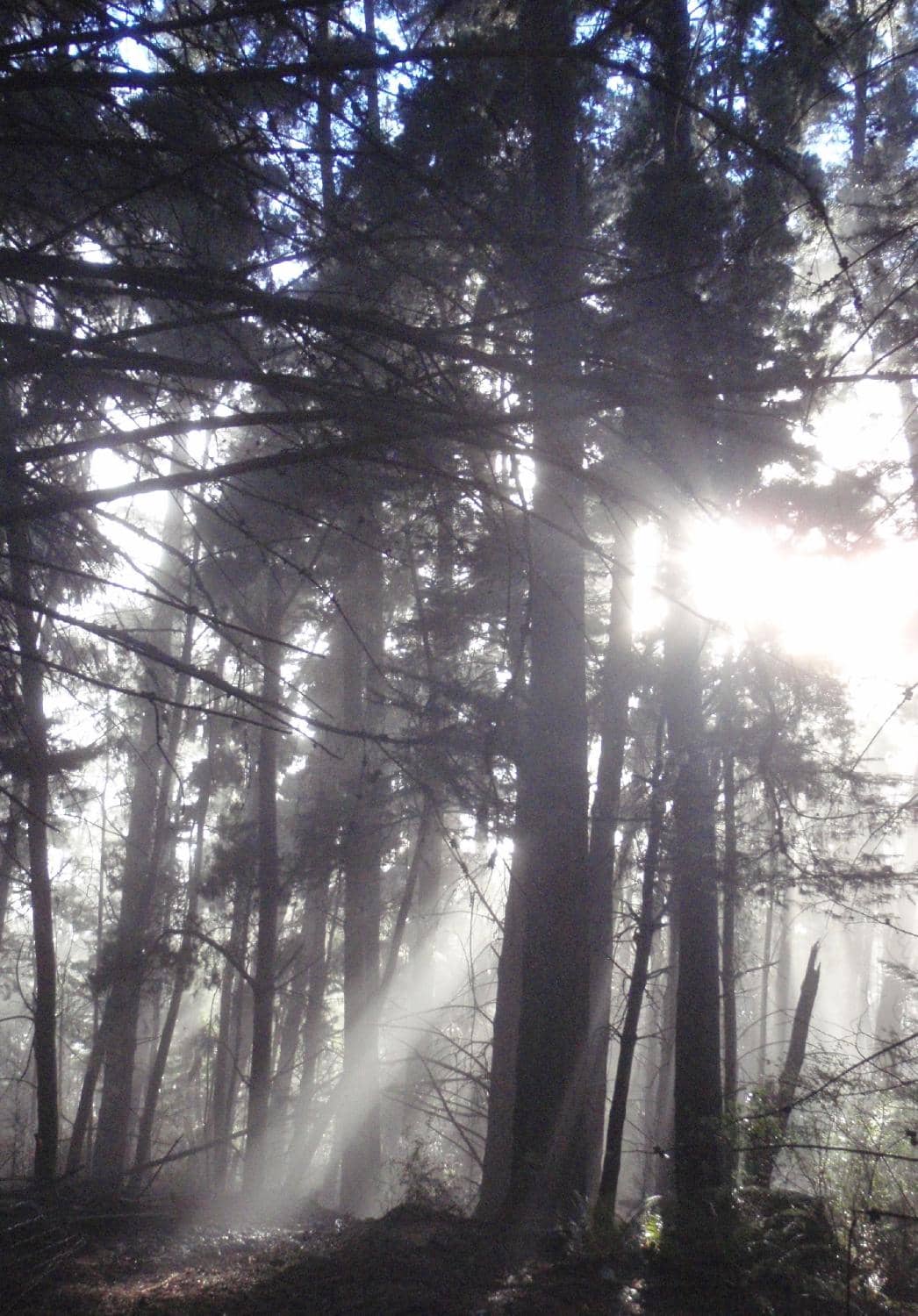 Extensive Hiking Trails