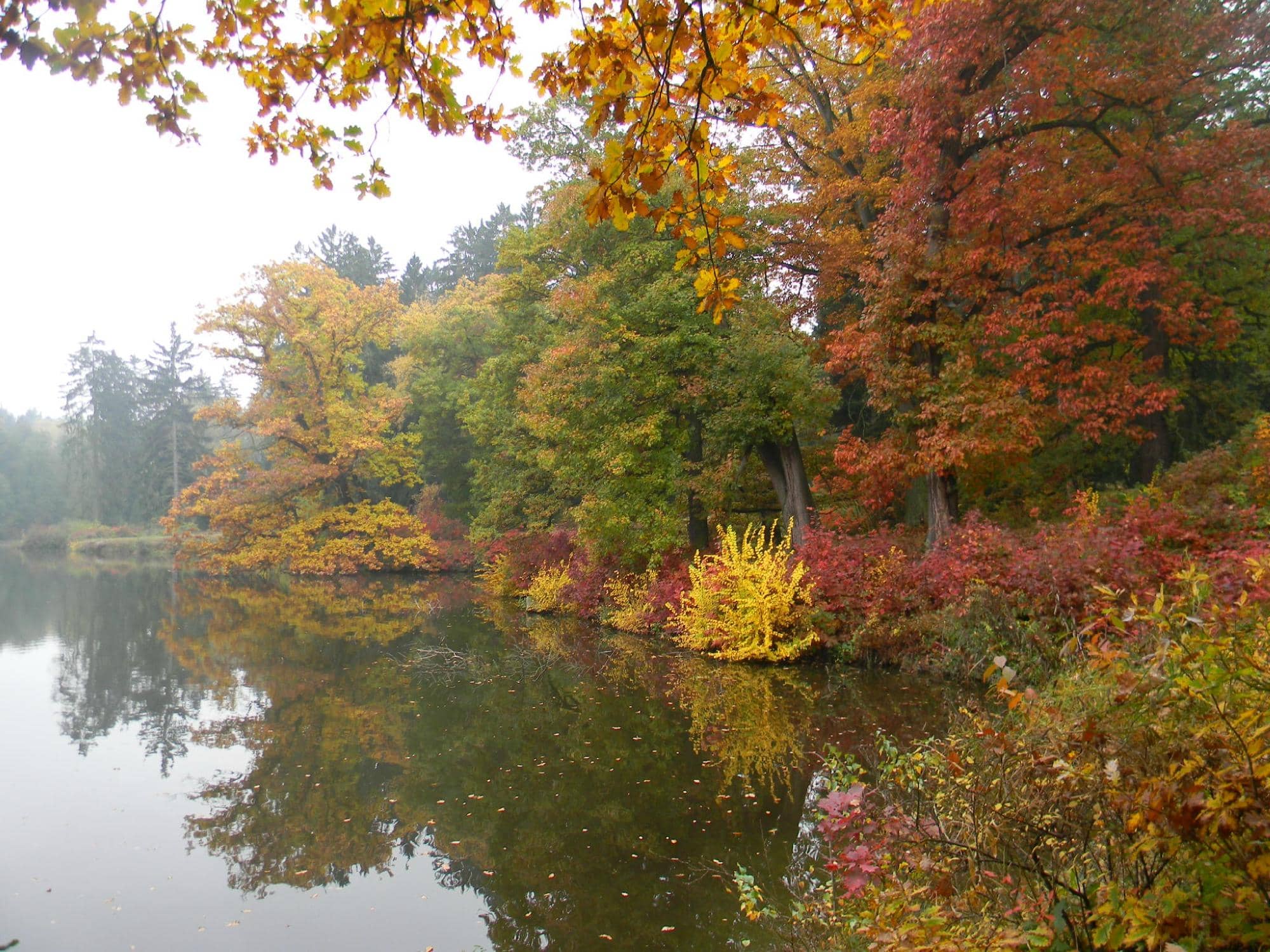 Scenic Walking Trails