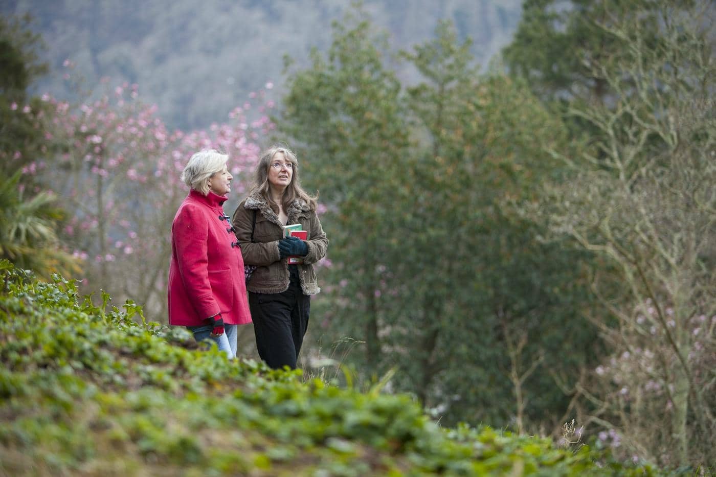 Agatha's Steinway Piano