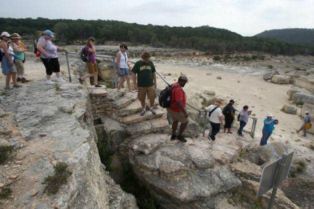 110-Million-Year-Old Marine Fossils
