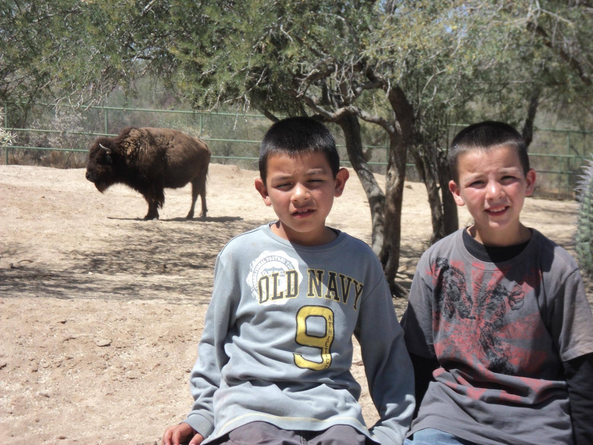 Observatory Experience