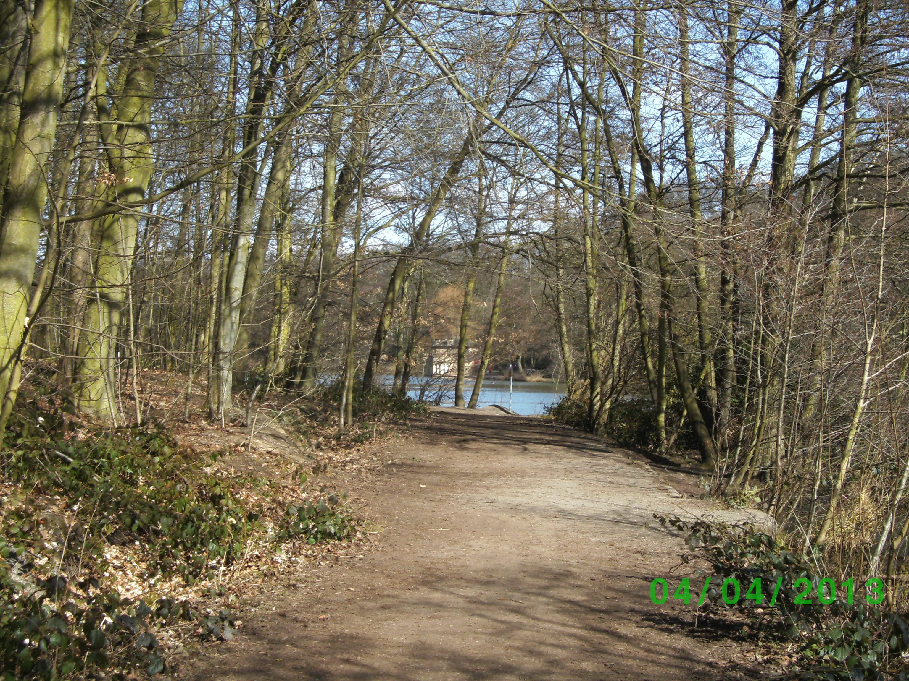 Woodland Wanderings