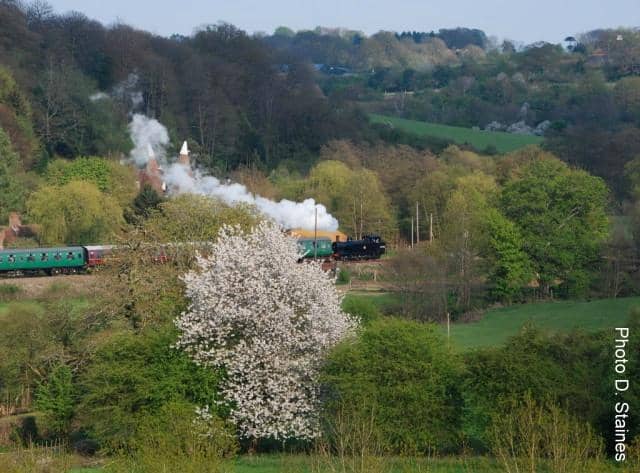 Vintage Steam & Diesel Trains