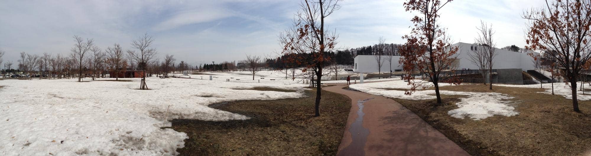 Yoshitomo Nara's Works