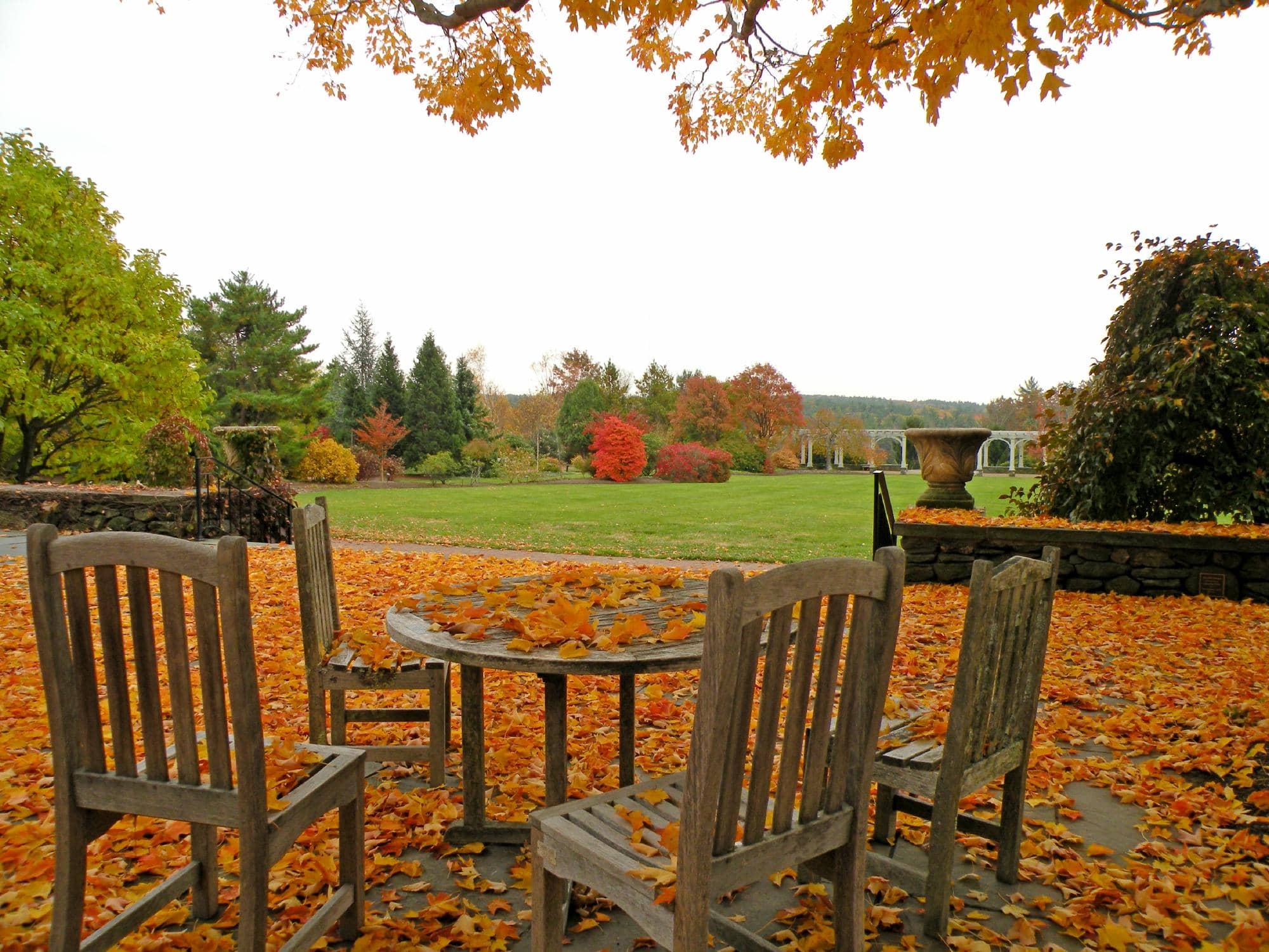 Carnivorous Plant Show