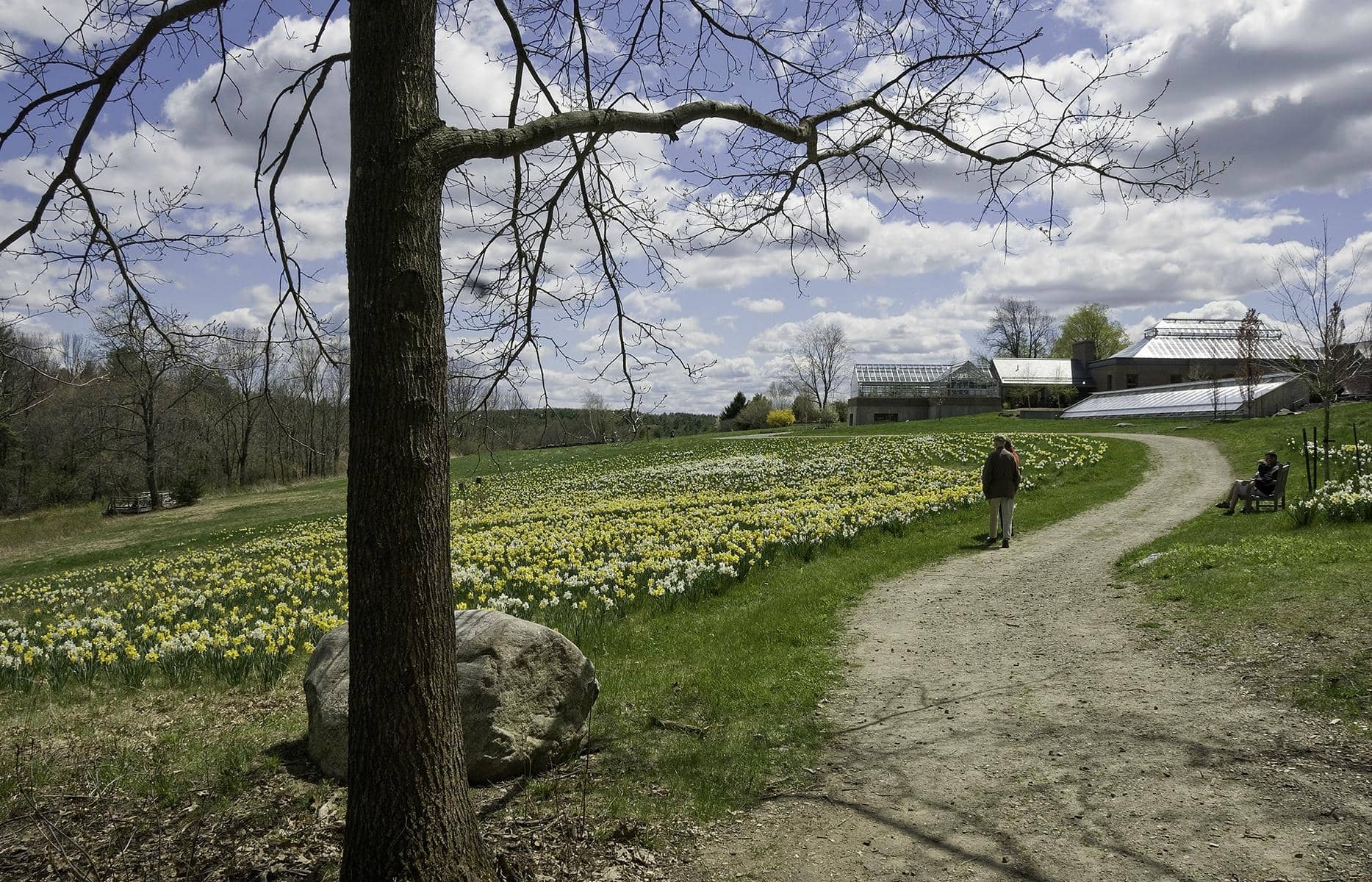 Night Lights: Color Cascade