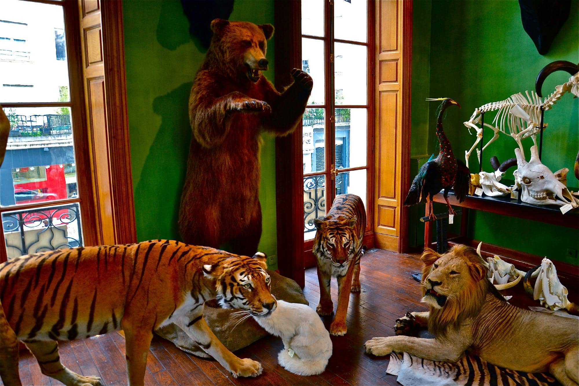 Botanical & Educational Displays