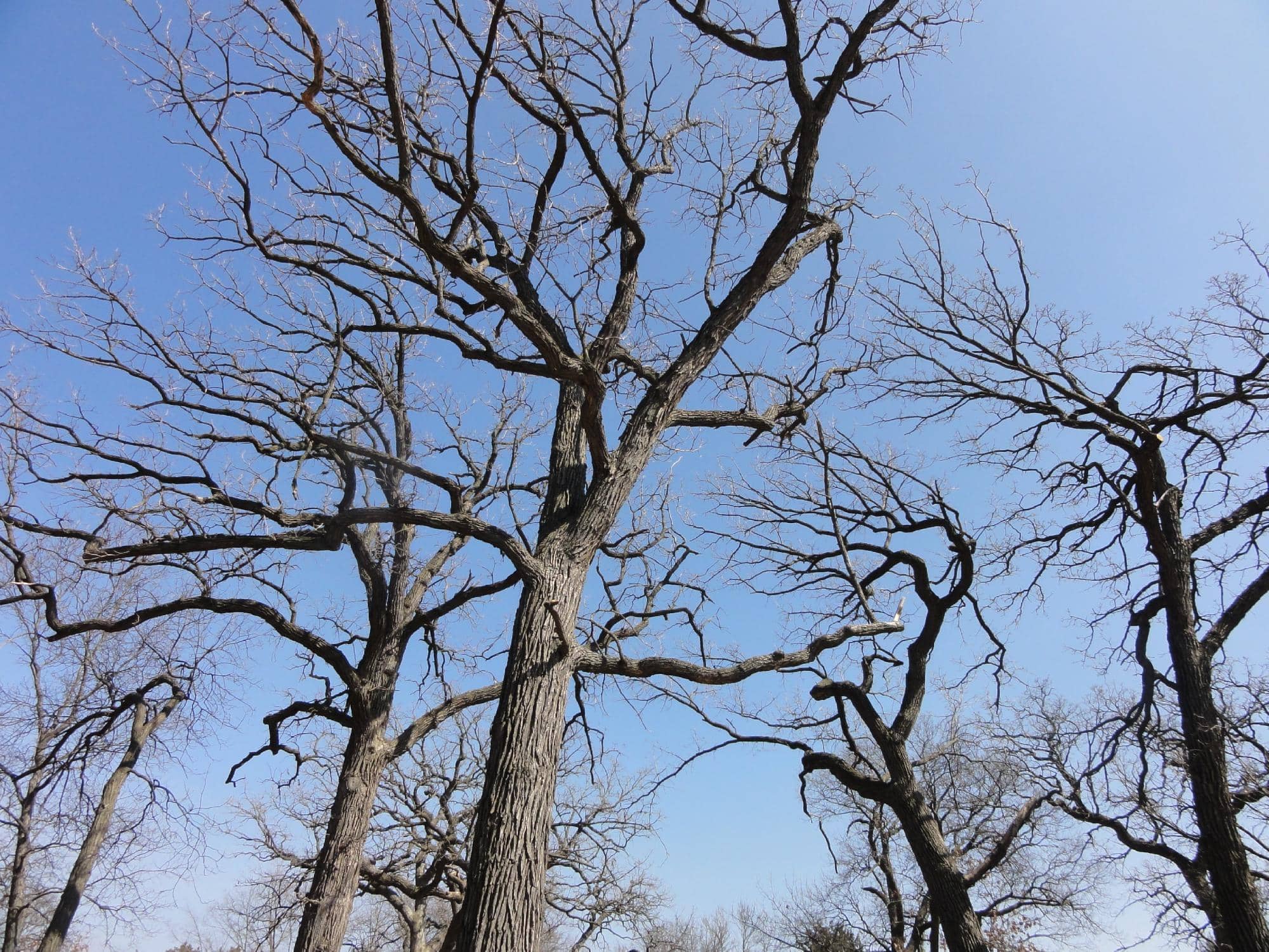 Exclusive Gated Community