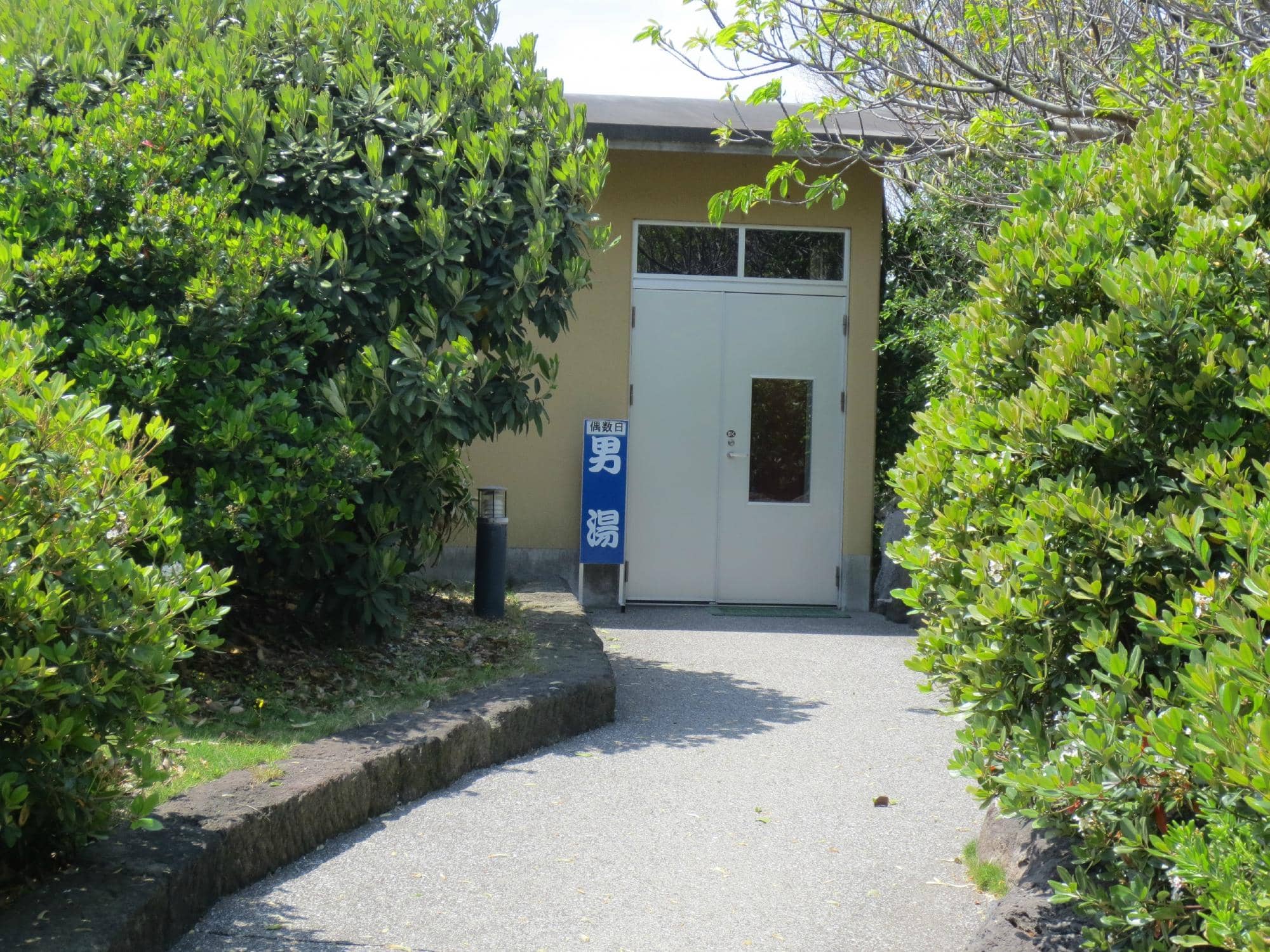 Refreshing Mango Cider